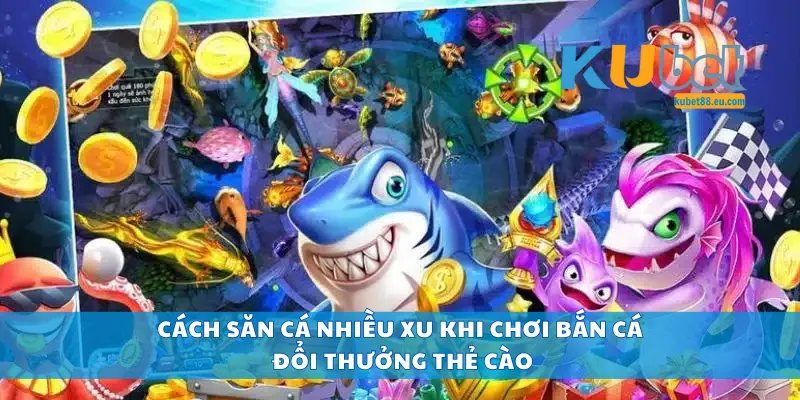 Cách săn cá nhiều xu khi chơi bắn cá đổi thưởng thẻ cào