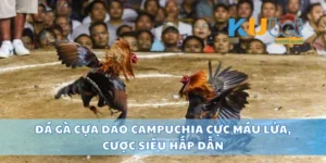 Đá Gà Cựa Dao Campuchia Cực Máu Lửa, Cược Siêu Hấp Dẫn
