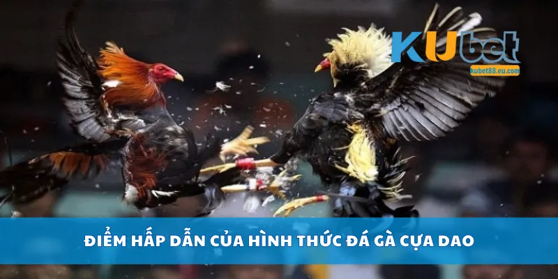 Điểm hấp dẫn của hình thức đá gà cựa dao