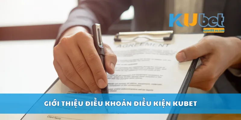 Giới thiệu điều khoản điều kiện Kubet
