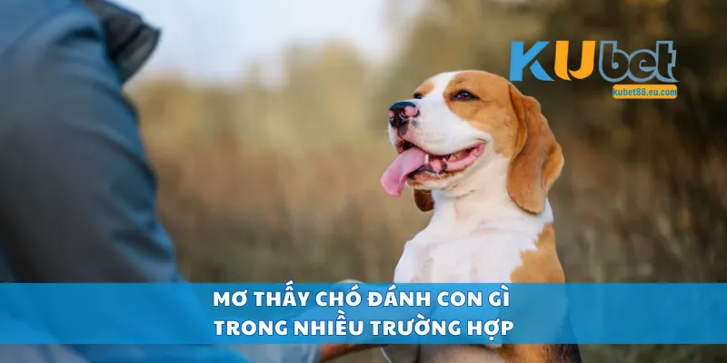 Mơ thấy chó đánh con gì trong nhiều trường hợp